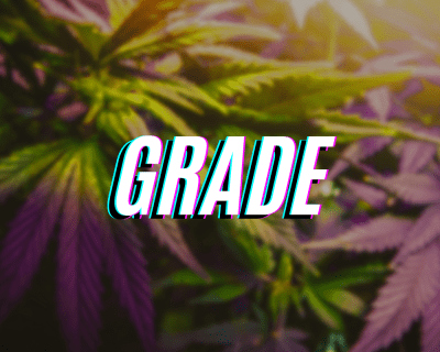 Shop By Grade