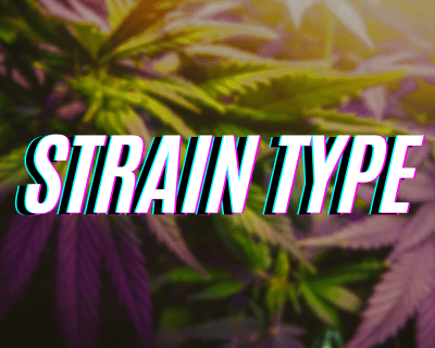 Shop By Strain Type