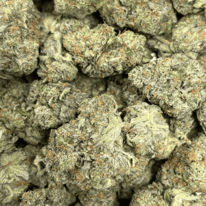 ATOMIC PINK (BIGS) - QUAD GAS - Image 2