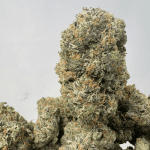 ATOMIC PINK (BIGS) - QUAD GAS