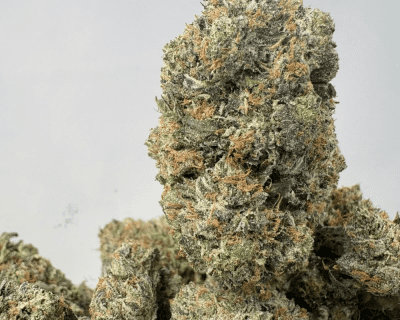 ATOMIC PINK (BIGS) - QUAD GAS