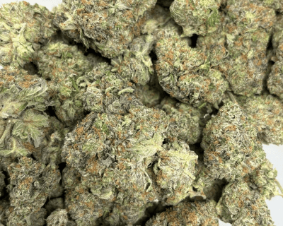 ATOMIC PINK (BIGS) - QUAD GAS - Image 3