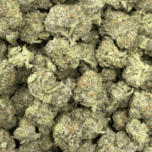 ATOMIC PINK (SMALLS) - QUAD GAS - Image 2