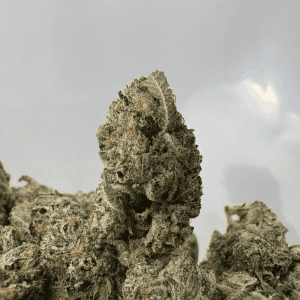 ATOMIC PINK (SMALLS) - QUAD GAS