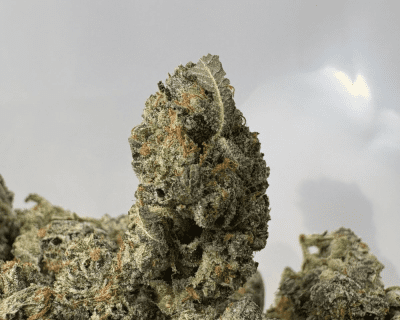 ATOMIC PINK (SMALLS) - QUAD GAS