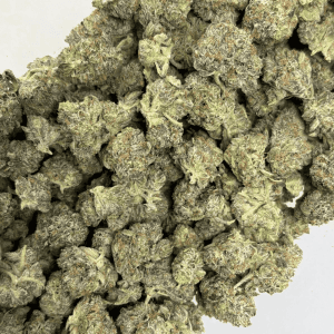 ATOMIC PINK (SMALLS) - QUAD GAS - Image 3