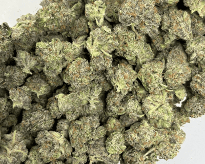 ATOMIC PINK (SMALLS) - QUAD GAS - Image 3