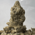 BLUEBERRY PANCAKES (BIGS) - QUAD EXOTICS