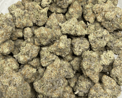 BLUEBERRY PANCAKES (BIGS) - QUAD EXOTICS - Image 3