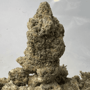 BLUEBERRY PANCAKES (BIGS) - QUAD EXOTICS