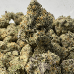 BLUEBERRY PANCAKES (SMALLS) - QUAD EXOTICS