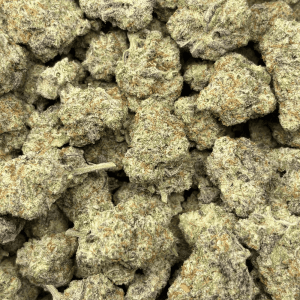 BLUEBERRY PANCAKES (SMALLS) - QUAD EXOTICS - Image 2