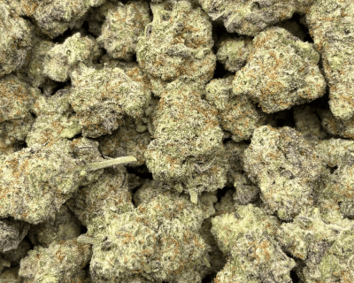 BLUEBERRY PANCAKES (SMALLS) - QUAD EXOTICS - Image 2