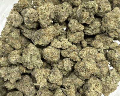 BLUEBERRY PANCAKES (SMALLS) - QUAD EXOTICS - Image 3