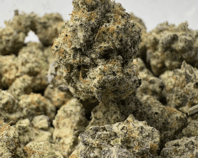 BLUEBERRY PANCAKES (SMALLS) - QUAD EXOTICS