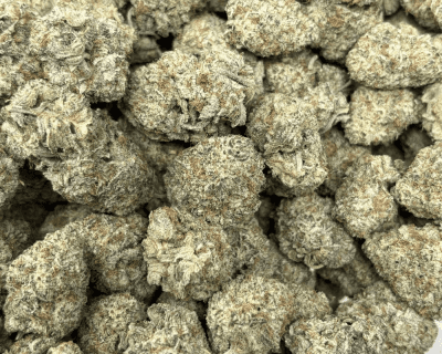 BLACKBERRY OG (BIGS) - TRIP EXOTICS - Image 3