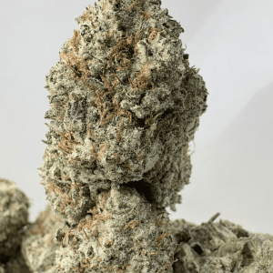 BLACKBERRY OG (BIGS) - TRIP EXOTICS