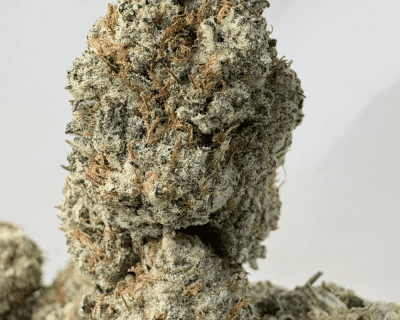 BLACKBERRY OG (BIGS) - TRIP EXOTICS