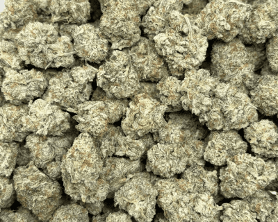 BLACKBERRY OG (SMALLS) - TRIP EXOTICS - Image 3