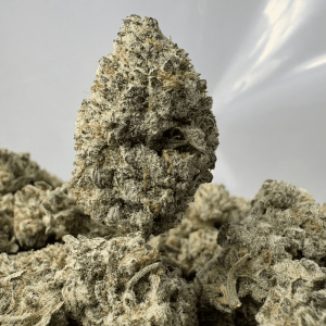 BLACKBERRY OG (SMALLS) - TRIP EXOTICS