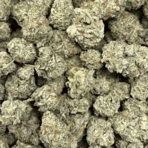 BLACKBERRY OG (SMALLS) - TRIP EXOTICS - Image 2