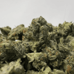 BUBBA'S GAS MASK (SMALLS) - TRIP GAS