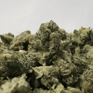 BUBBA'S GAS MASK (SMALLS) - TRIP GAS