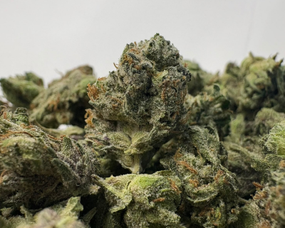 BUBBA'S GAS MASK (SMALLS) - TRIP GAS