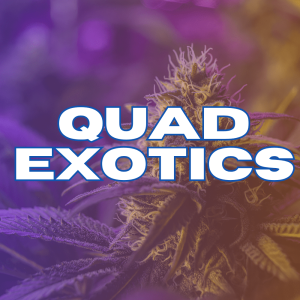 Quad Exotics