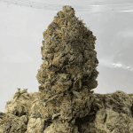 DEATH TAR (BIGS) - QUAD GAS