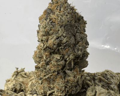 DEATH TAR (BIGS) - QUAD GAS