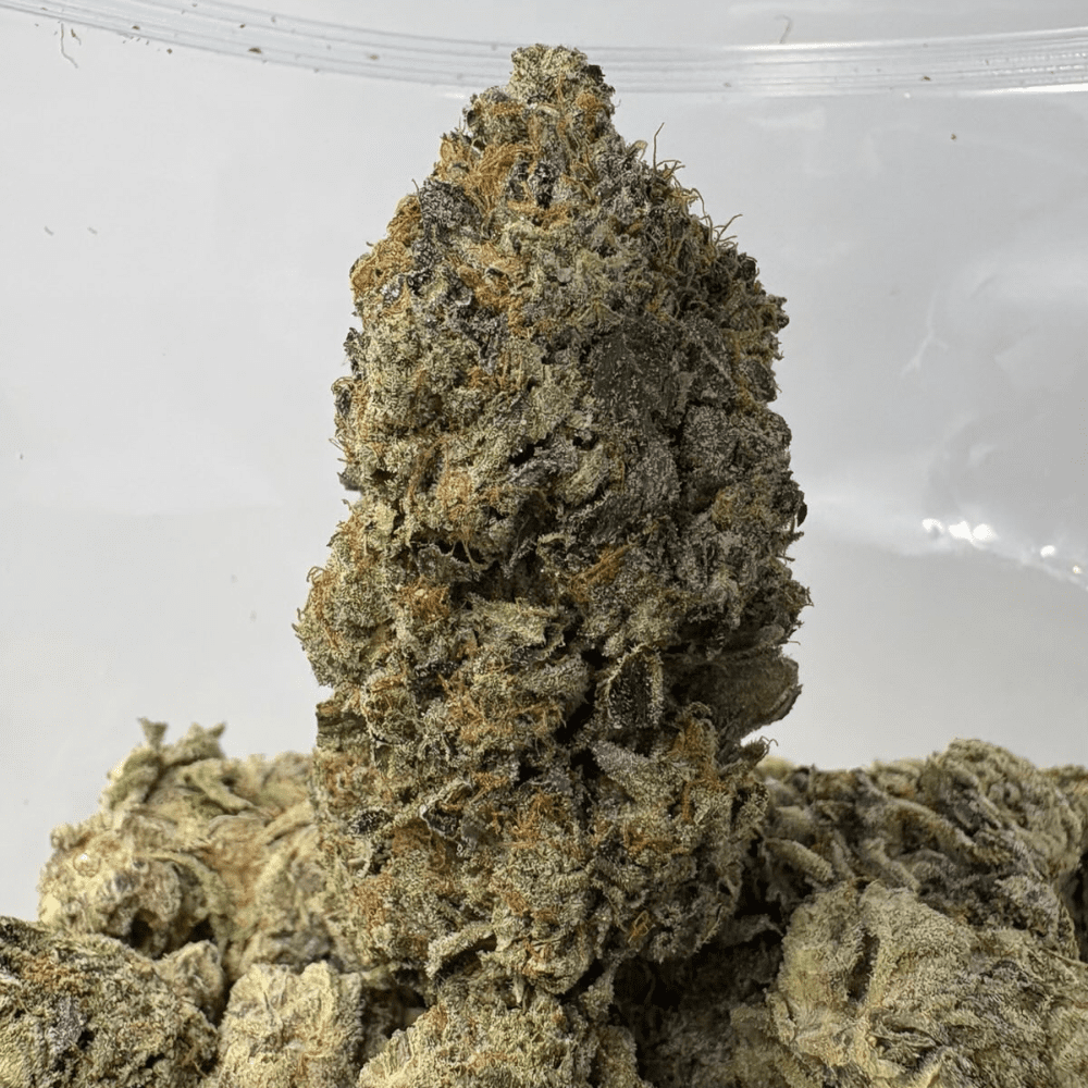 DEATH TAR (BIGS) - QUAD GAS DEATH TAR (BIGS) - QUAD GAS