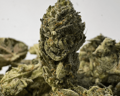 DEATH TAR (SMALLS) - QUAD GAS