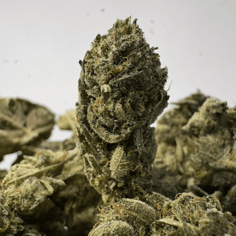 DEATH TAR (SMALLS) - QUAD GAS