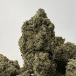 DEVIL'S OG (BIGS) - QUAD GAS