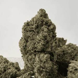 DEVIL'S OG (BIGS) - QUAD GAS