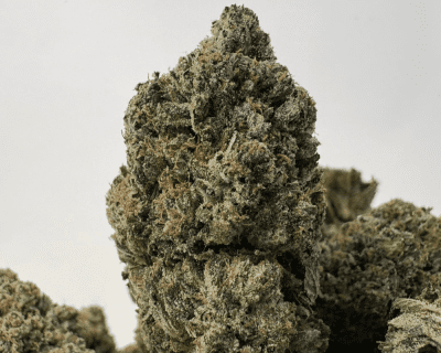 DEVIL'S OG (BIGS) - QUAD GAS