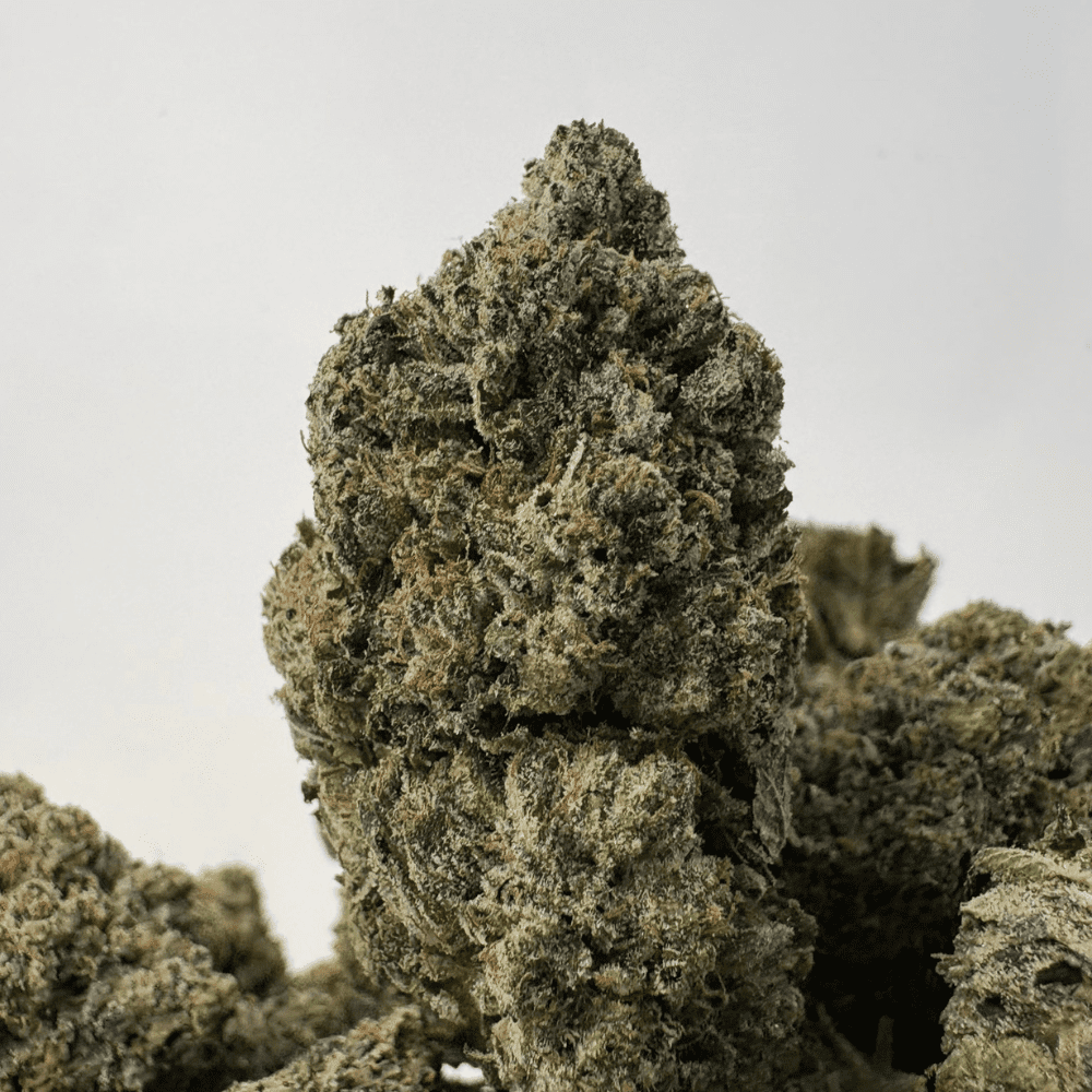 DEVIL'S OG (BIGS) - QUAD GAS