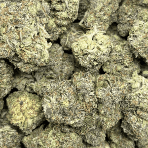 DEVILS OG (BIGS) - QUAD GAS - Image 2