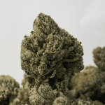 DEVILS OG (SMALLS) - QUAD GAS