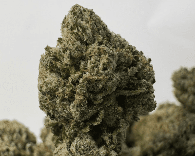 DEVILS OG (SMALLS) - QUAD GAS