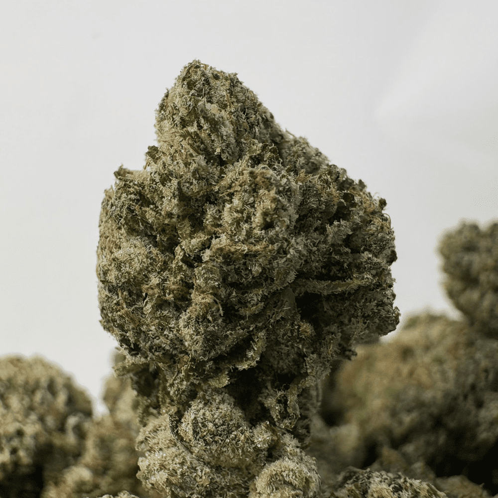 DEVILS OG (SMALLS) - QUAD GAS DEVILS OG (SMALLS) - QUAD GAS