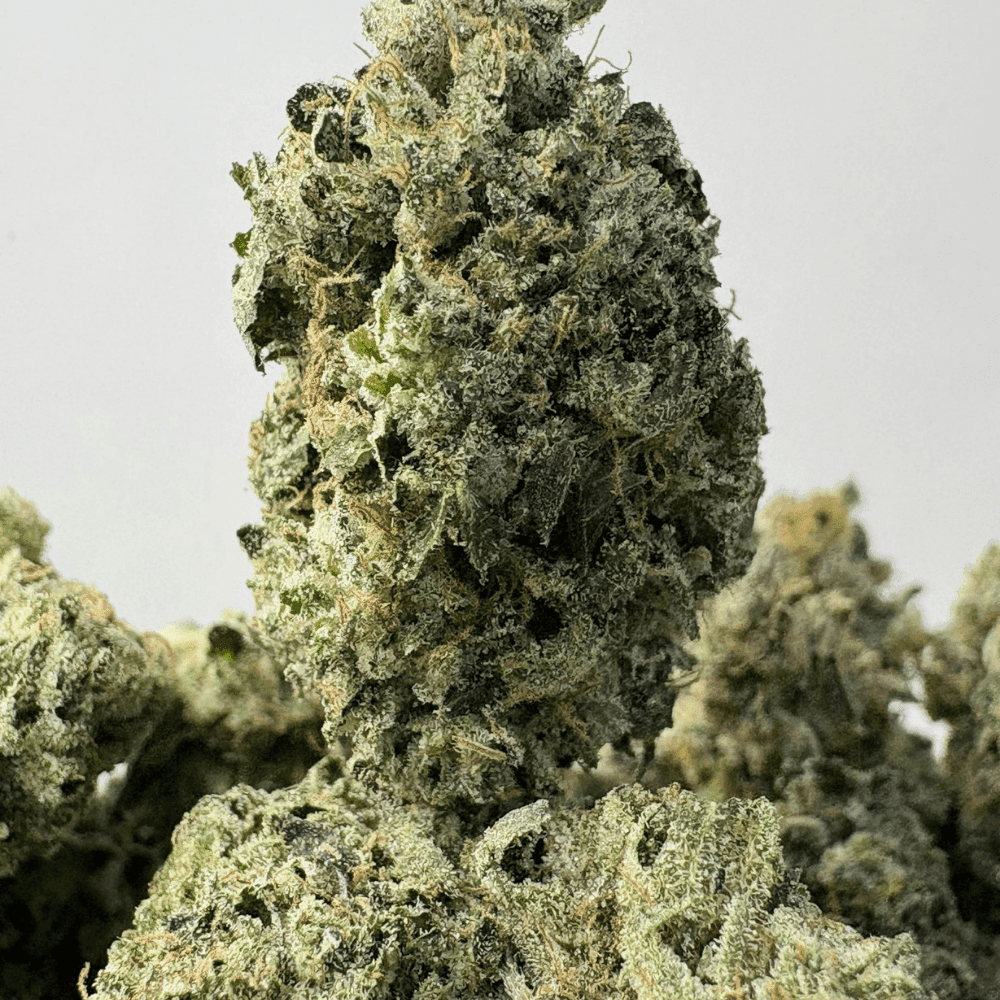 GASSY PEBBLES (BIGS) - TRIP GAS