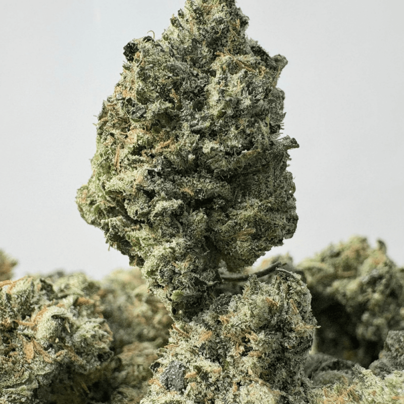 GASSY PEBBLES (SMALLS) - TRIP GAS