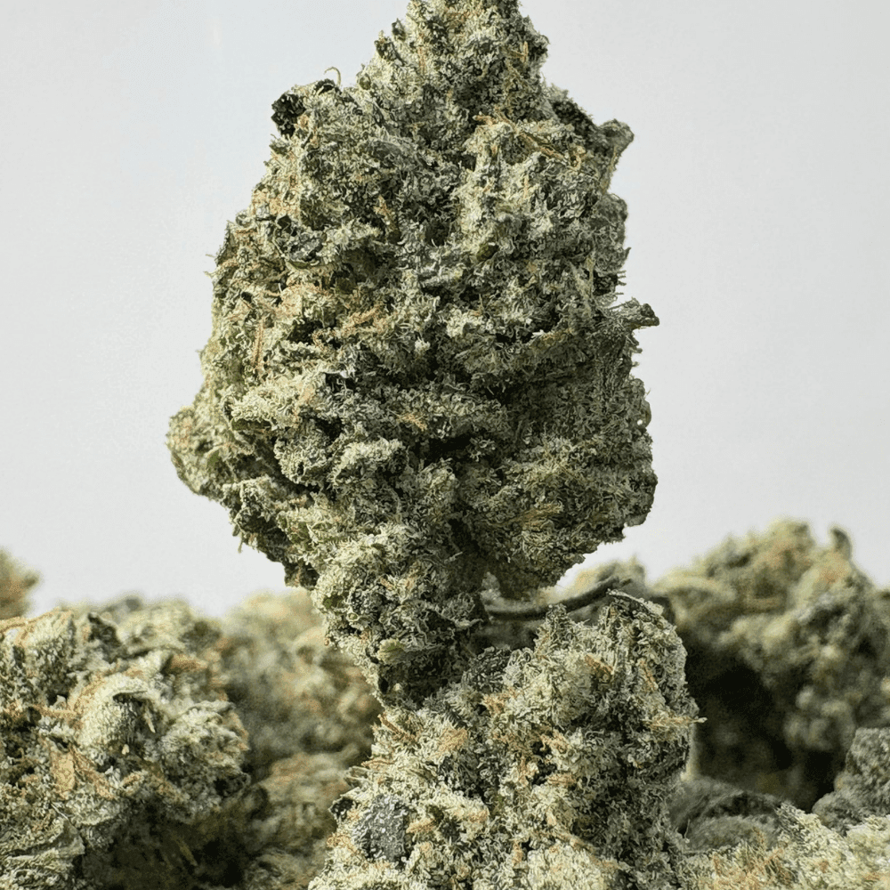 GASSY PEBBLES (SMALLS) - TRIP GAS