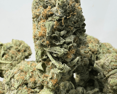 GODFATHER BUBBA (BIGS) - TRIP GAS