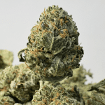 GODFATHER BUBBA (SMALLS) - TRIP GAS