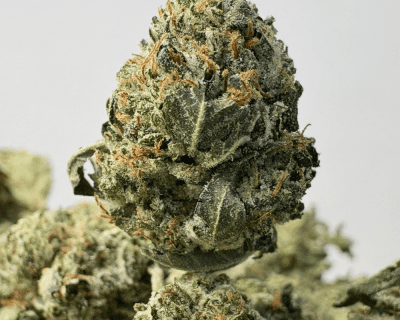 GODFATHER BUBBA (SMALLS) - TRIP GAS