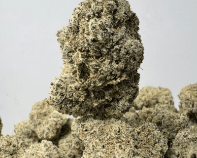 GREASE MONKEY (BIGS) - TRIP EXOTICS