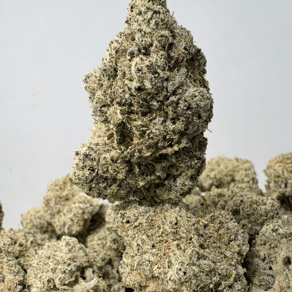 GREASE MONKEY (BIGS) - TRIP EXOTICS GREASE MONKEY (BIGS) - TRIP EXOTICS